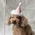 クリスマスミニサンタ帽子🎅(ベビーピンク)