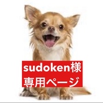 専用ページ