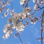 R様　専用ページ
