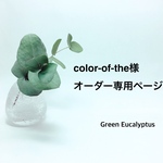 color-of-the様オーダー専用ページ