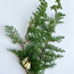 クリスマスキット〜ドライtezukuriヒムロスギ&クリスマス　ベル　so