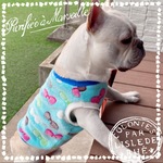 ♡新作犬服オーダー★おリボンもこもこボアタンク水色中型犬小型犬フレブル服パグ服フレンチブルドッグ中型犬小型犬ボストンテリア