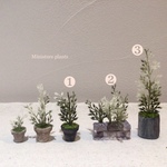 ミニチュア  ❸着せ替え植木鉢（特大）