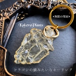 ✶無限の発展✶ドラゴンの鱗みたいなキーリング✶Fragment of dragon scales✶