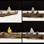 【超ミニチュアあみぐるみ】選べるオカメインコさん