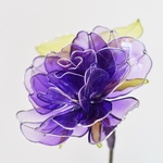 薔薇　夜露