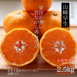佐賀 希少な 山崎早生 果汁たっぷりみかん 2.5kg 小玉（S以下） 秀品〜優品 マルチ栽培 農園直送