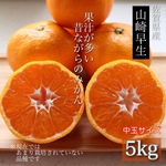佐賀 希少な 山崎早生 果汁たっぷりみかん 5kg 中玉おまかせ(MorL) 秀品〜優品 マルチ栽培 農園直送