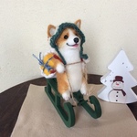 コーギーサンタ🎅❓