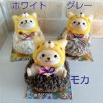 寅年♪虎の被り物はりねずみ(ノーマル)