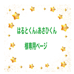 🐶犬服クリスマス🎄