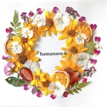 【押花素材142】押しフルーツ　黄花　ビオラ　ミニバラ花びら　感謝状　結婚証明書　レジン　アクセサリー　スマホケース