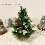 2021𓂃 𖣂森のクリスマスツリー𖣂𓂃 