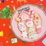 クリスマスアイシングクッキーセット💗