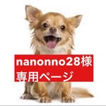 専用ページ