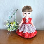 送料無料★ソランちゃんのドレス（メリークリスマス）
