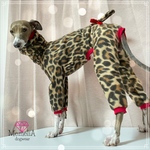 【イタグレ用犬服】今日は女豹の気分なの😘魅惑のせくし〜女豹ロンパース🐆♥️