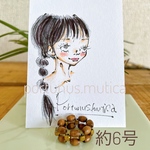 手描きイラスト台紙つき  ウッドビーズのナチュラルピンキーリング 約6号