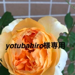 yotubahiro様専用