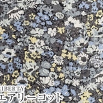 シフォンボンさま専用カート