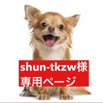 専用ページ