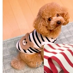 suzu様専用カートです  犬服