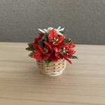 ポインセチア　花籠　ワ