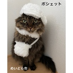 再入荷！モコモコポシェット、猫ちゃんの首輪