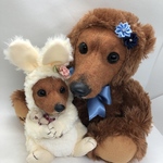bootan様専用ページ うさぎの着ぐるみみ　オーダーメイド　ダックスちゃん　オルゴール♪♪♪