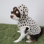 [犬服] Sサイズ 完成品 チワワ　　　　　　　　　　　　なりきりダルメシアン パーカー ドット柄