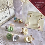 《10000円相当》クリスマスハッピーバッグ　vol.３　イヤリングセット