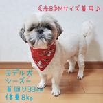 《送料無料》クリスマス柄バンダナ♪Mサイズ