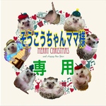 こちらはそうこうちゃんママ様専用