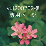 計測用チップ