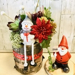 白樺クリスマスポット🎄🎅⛄️✨