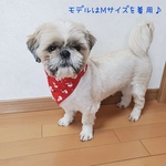 《送料無料》ゆきだるま柄バンダナ♪Lサイズ♪