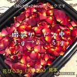 お得用！ミニバラ  花びら3g（大小 mix）ドライフラワー★花弁★ミニローズ ★薔薇