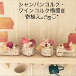 千日紅ドライフラワー等コルクの寄植え♡ほっこり可愛い癒し系コルク雑貨♡