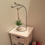 ぶらさがり観葉植物