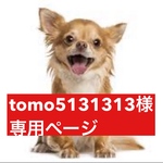 専用ページ