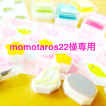 momotaros22様専用