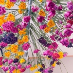 薔薇ドライフラワー　ガーランド　ハーバリウム花材　プリザーブドフラワー花材