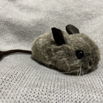 デグーのぬいぐるみA