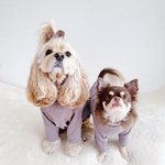 アラン風ジャガードニットの ハイネックラグランTシャツ 小型犬～中型犬