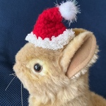 ウサギのクリスマスの帽子