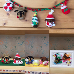 7675m様専用ページダックス🎄🎍⛷