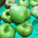 希少♪グラニースミス(青リンゴ)のフレンチアップルパイ♪15cm〜