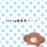 4341sg様専用ページ