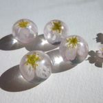 リアル桜のピアス・イヤリング