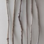 １２０～１３０ｃｍ 　流木素材   インテリア・加工用